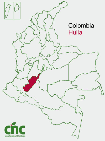 colombia huila cafe verde